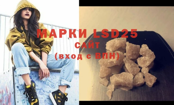 прущий лед Алзамай