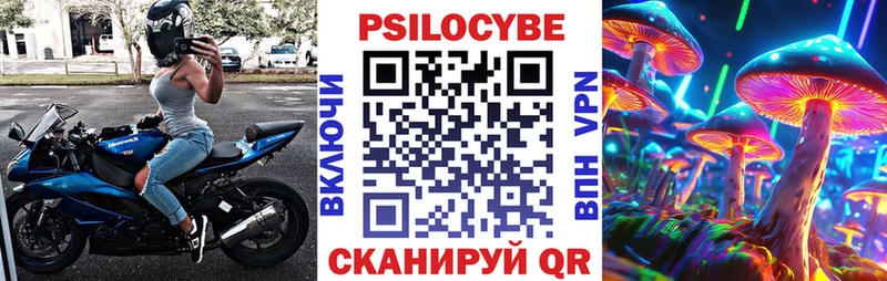 наркошоп  Кадников  Псилоцибиновые грибы Psilocybine cubensis 