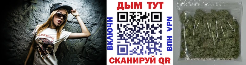 где найти наркотики  Кадников  Конопля Bruce Banner 